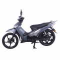 Moped Scooter Bike Elektro für Erwachsene mit Pedal